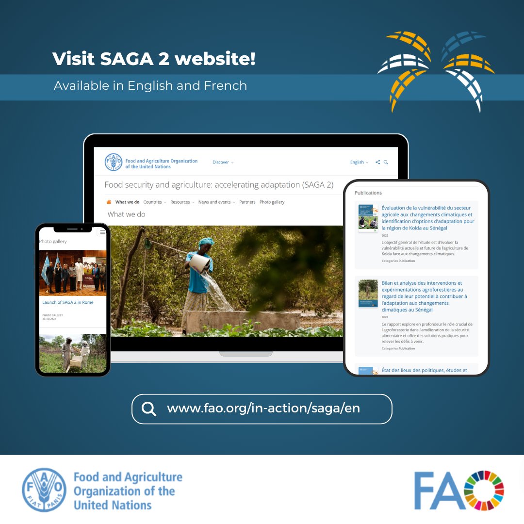 Agrifood systems solutions are climate solutions!

In Côte d'Ivoire, Haiti and Senegal, we are supporting farmers to adapt to climate change with biodiversity-friendly practices that integrate traditional knowledge.

Visit #SAGA2 website for more 
➡️bit.ly/SAGA2web