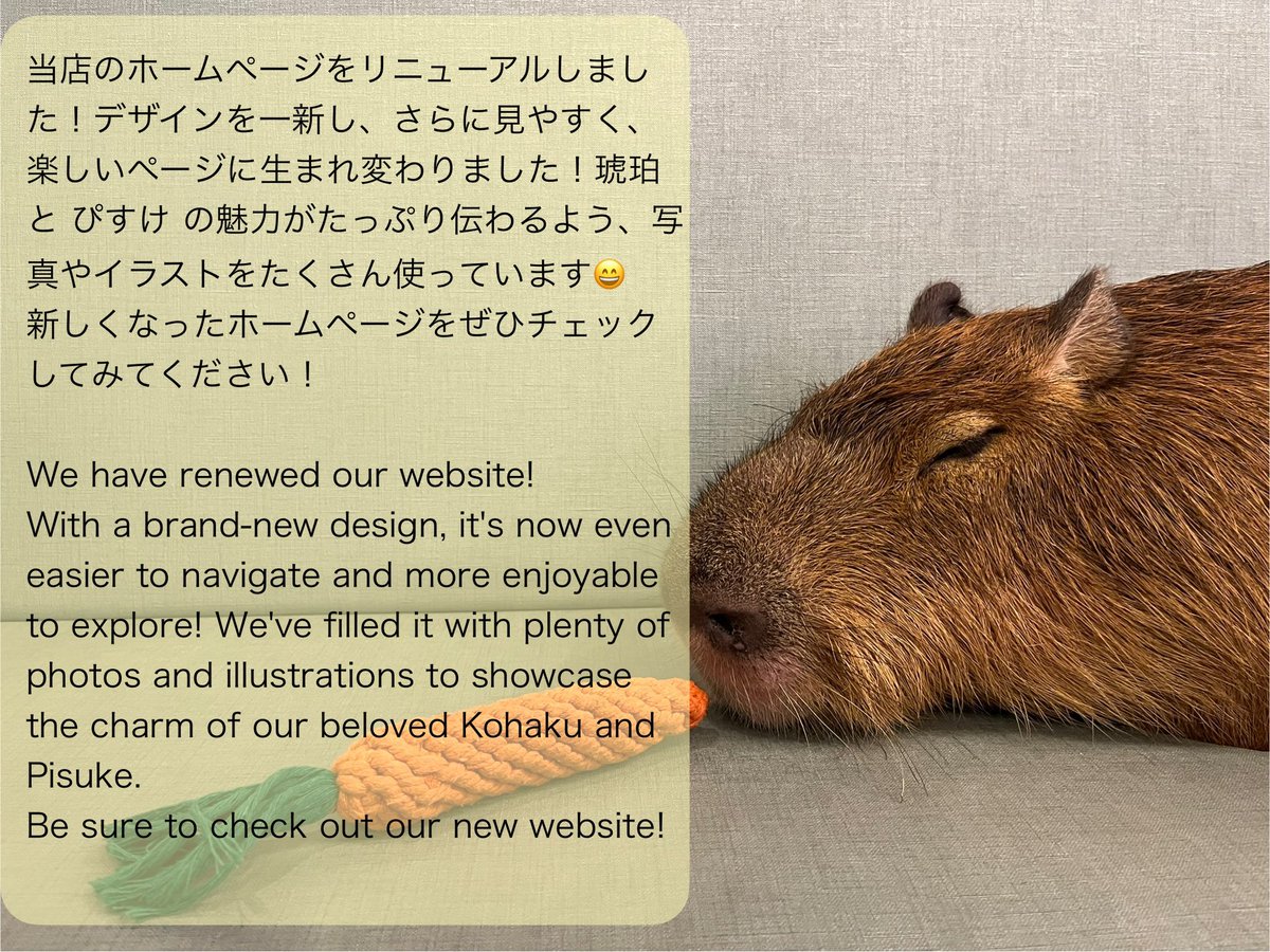 カピ様 ご確認ページ （?2024年 森きらら秋まつり? カピリナマルシェ 