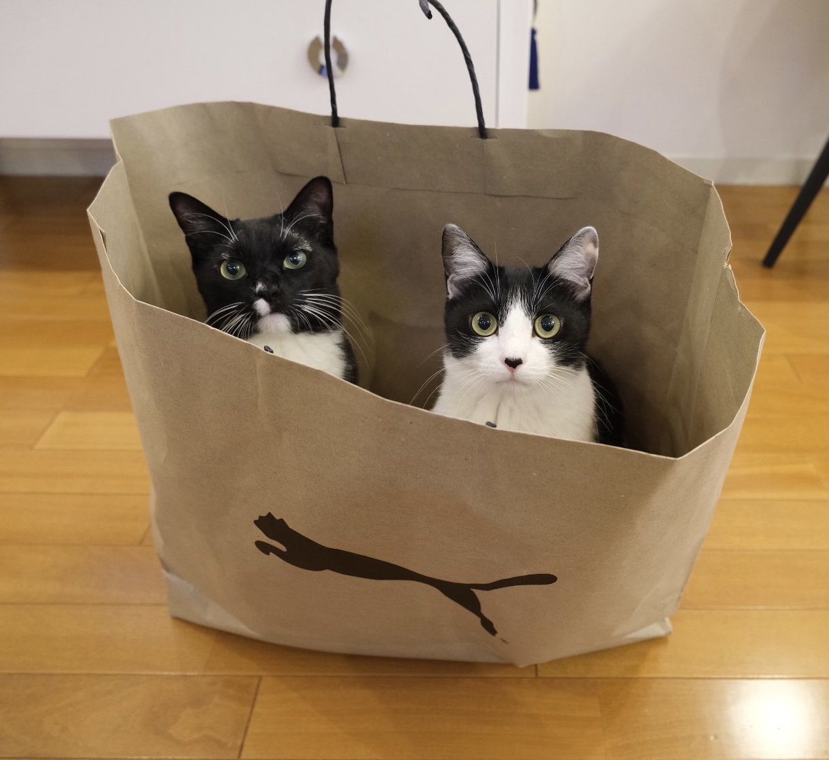 ちんあなご🐟🐟Lv2025 (@4d1j2O6jtOUbOd5) / Posts / X