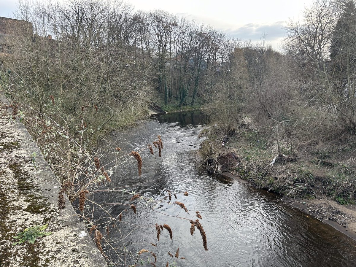 Yorkshire water begins “largest ever environmental investment” amid continued calls to do more to tackle river pollution.

I spoke to local Sheffield City councillor Mark Jones about the issue.👇

#Sheffield #News #ShefLive #Yorkshire 

shef-live.co.uk/index.php/2025…