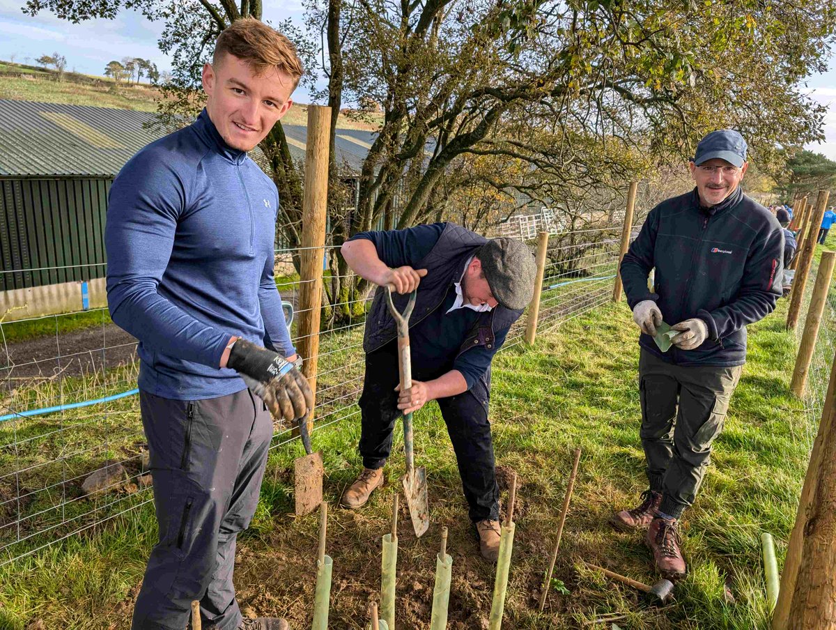 Friends of the Lake District tweet media
