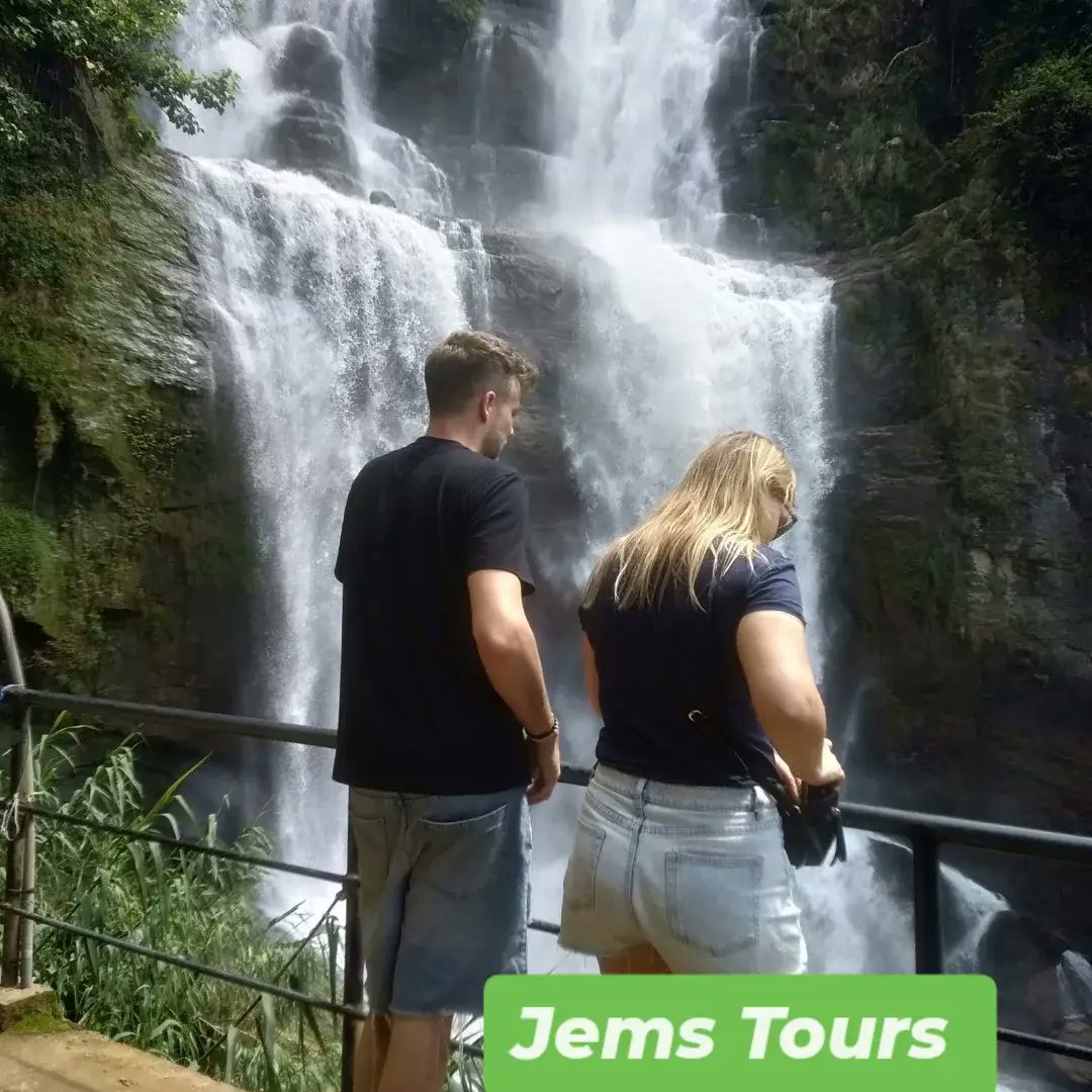 Jems Tours (@jemstours) on Twitter photo Ciao, siamo esperti facilitatori di tour in Sri Lanka. Possiamo aiutarti a realizzare il tuo itinerario al prezzo più basso con un servizio clienti cordiale. Contattaci tramite WhatsApp +94766219048 e-mail. jemstours@gmail.com
tripadvisor.com/Attraction_Rev… Ciao, siamo esperti facilitatori di tour in Sri Lanka. Possiamo aiutarti a realizzare il tuo itinerario al prezzo più basso con un servizio clienti cordiale. Contattaci tramite WhatsApp +94766219048 e-mail. jemstours@gmail.com
tripadvisor.com/Attraction_Rev…