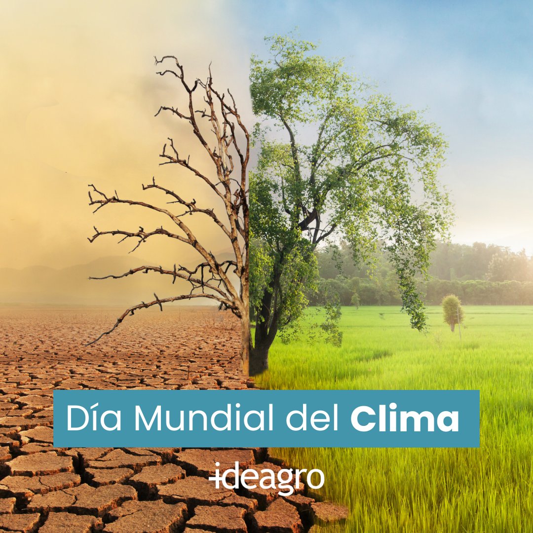 🌍🌱 Hoy, en el #DíaMundialdelClima, reflexionamos sobre cómo el #suelo es esencial en la lucha contra el #cambioclimático.

Fundamental para la producción #agrícola, no solo sustenta las #cosechas, también juega un papel clave en mitigar los efectos del #calentamientoglobal.