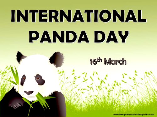 SweetuAbarna's tweet image. March 16 is #InternationalPandaDay! 🐼 

A day to celebrate these adorable black-and-white icons and raise awareness about their conservation. 

Let’s protect their habitats and ensure a future where pandas continue to thrive! 🌿💚 

#SaveThePandas