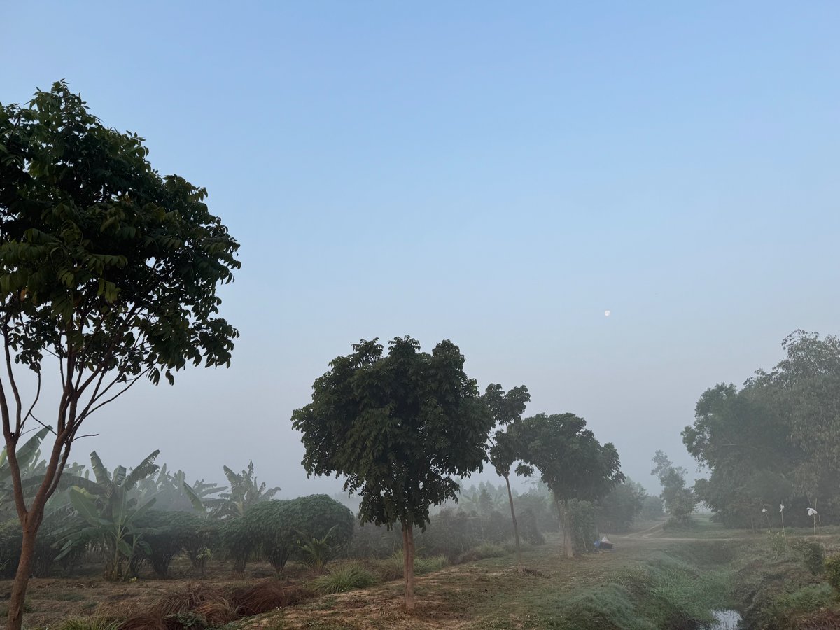 OpenForest_'s tweet image. OFP Real World Traction to Date: 

🤝2 Partnered Governments

⛓️5700+ Hectares On-Chain

🌲140k Hectares in the Pipeline

🌐260+ projects on the OFP Atlas