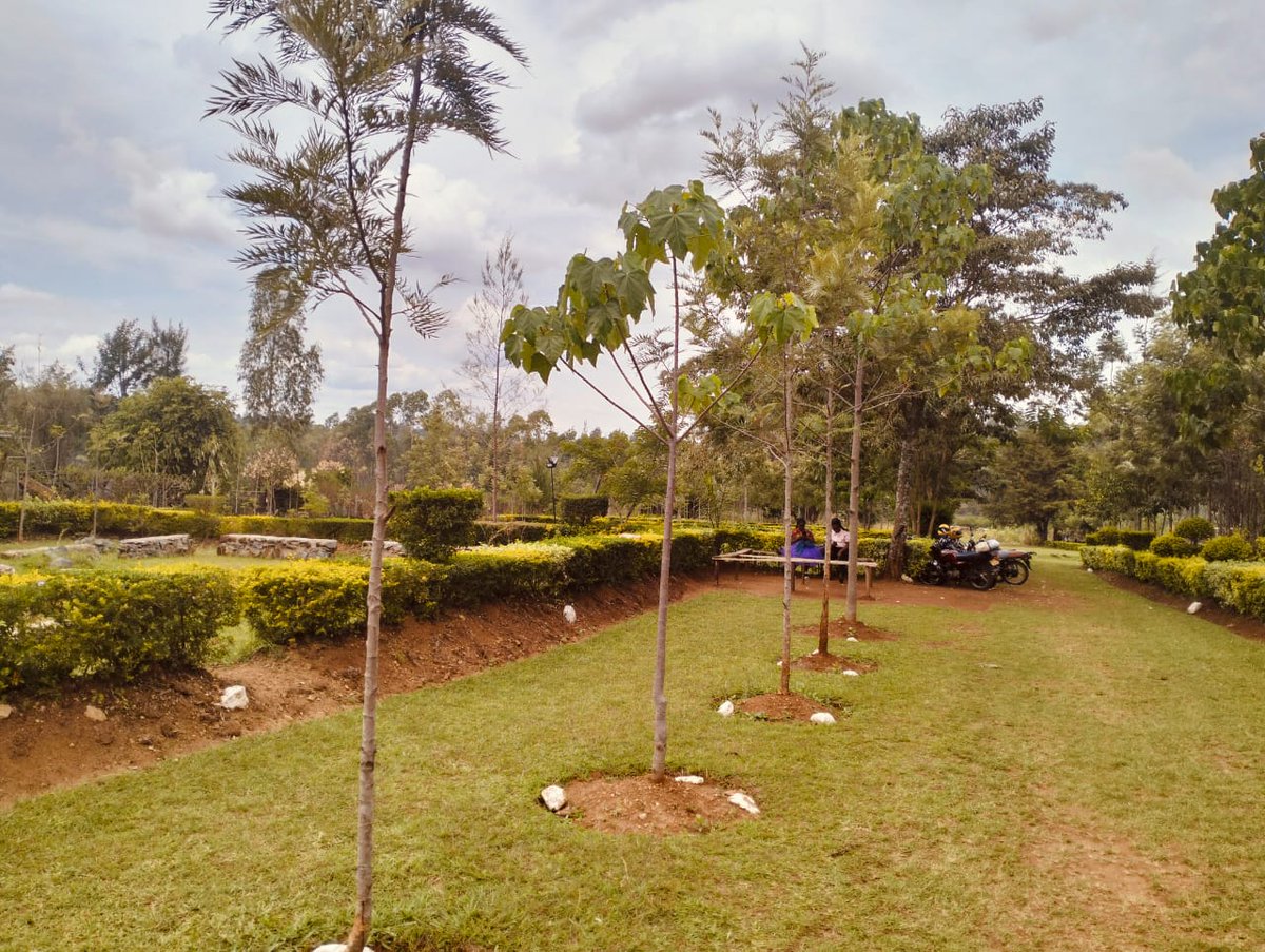 One Vision Kenya (@_onevisionkenya) on Twitter photo Today, we're showcasing Kakrao TVET, where we established a green park three years ago.Its so green and impressive!
<a href="/MiltonOboka/">oboka milton</a> <a href="/MitiAlliance/">Miti Alliance</a> Today, we're showcasing Kakrao TVET, where we established a green park three years ago.Its so green and impressive!
<a href="/MiltonOboka/">oboka milton</a> <a href="/MitiAlliance/">Miti Alliance</a>
