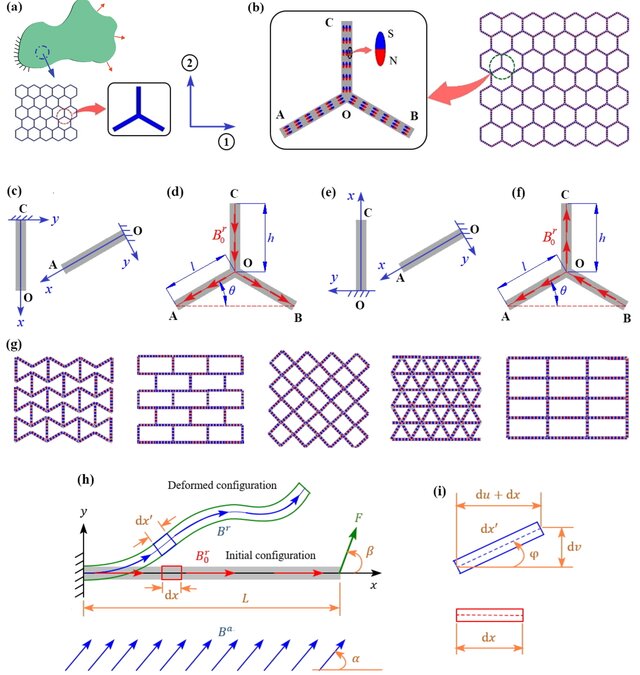Pleased to share our work on #stimuli-responsive #metamaterials  - we propose generic periodic hard #magnetic soft beam (HMSB) element networks with #anti-curvature effect for contactless programmability in mechanical #metamaterials. Full text: lnkd.in/ed5-mr2G