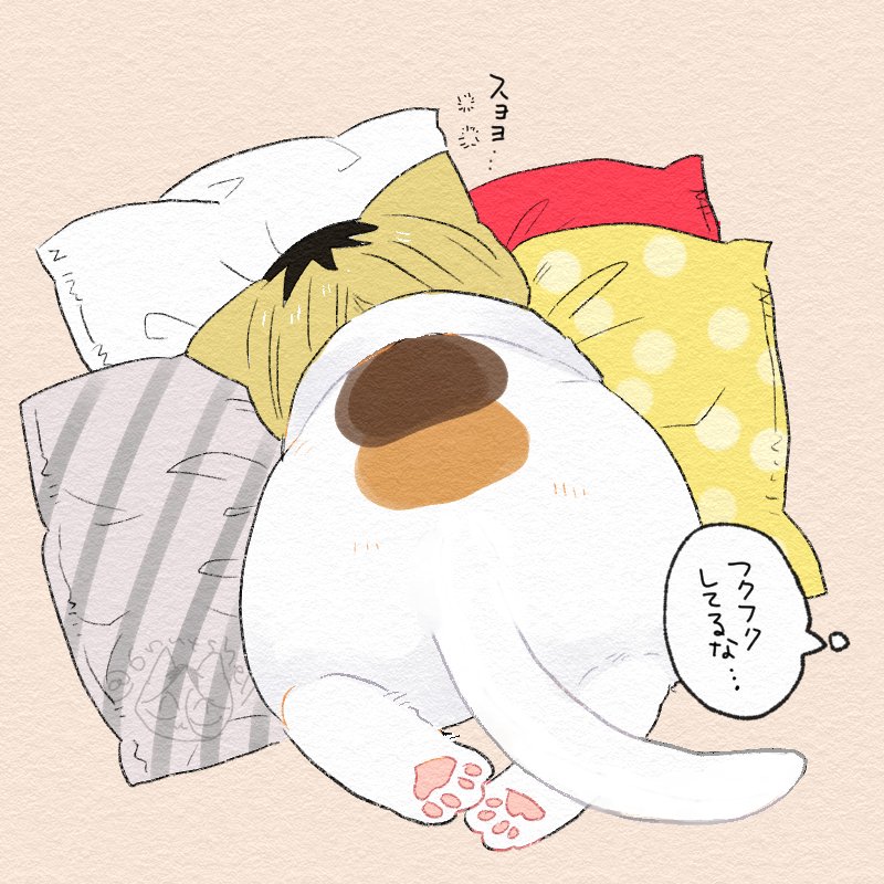 さじ🥜 (@6nutshell) on Twitter photo 
