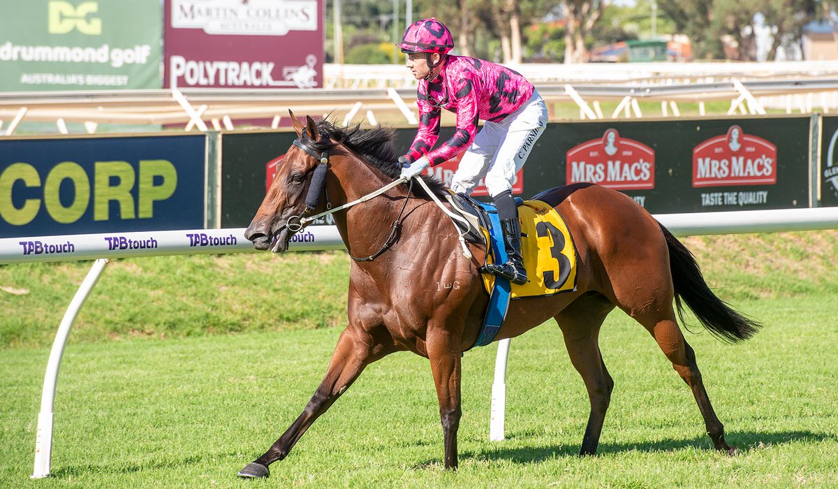 Fernie_Racing's tweet photo. Tawkinโ Jibberish takes down a W under Parnz today on a wicked Wednesday at #Ascot!
Congratulations connections ๐
#FernieRacing | ๐ธ: Western Racepix https://t.co/KbPqwKsNAo