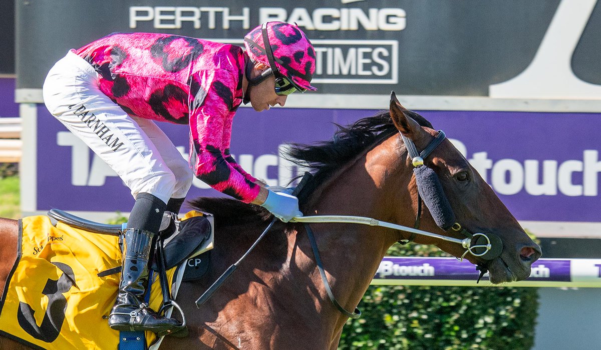 Fernie_Racing's tweet photo. Tawkinโ Jibberish takes down a W under Parnz today on a wicked Wednesday at #Ascot!
Congratulations connections ๐
#FernieRacing | ๐ธ: Western Racepix https://t.co/KbPqwKsNAo