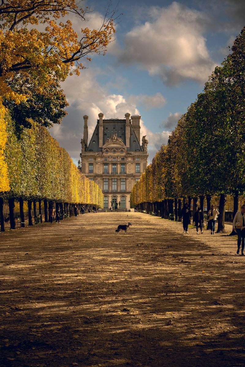 QuentinNor97737's tweet image. #FashionWeek #Paris #InspirationMode