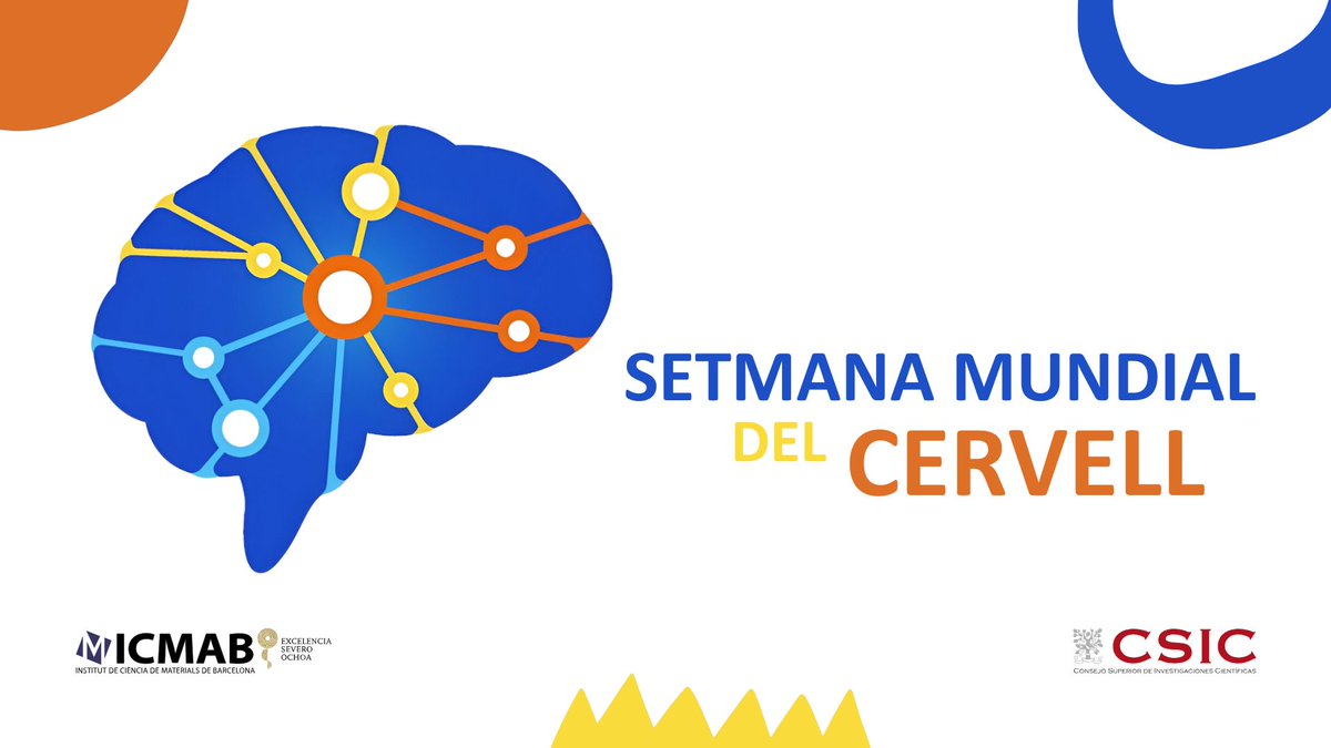 🧠This #BrainAwarenessWeek, we spotlight two initiatives at #ICMAB using nanotechnology &amp; materials science for brain disease treatments:
🔬 LabsinLove: Precision-targeted #BNCT for glioblastoma
🩺 End-STROKE: Nanomedicine for stroke recovery

Read more: icmab.es/advancing-brai…