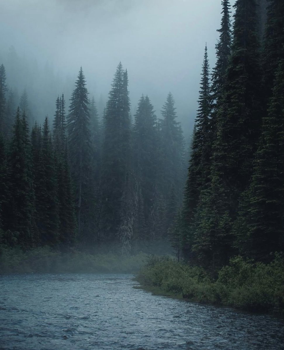earthcurated's tweet photo. — solitude 🍃 https://t.co/OiLNIFPLGy