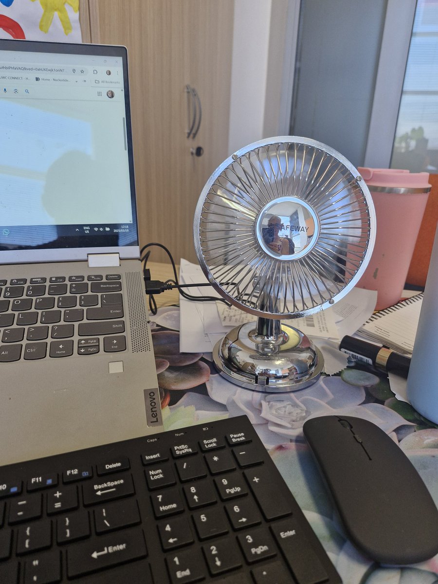 BronnieK's tweet photo. @AlaricPrins Windowless office survival essentials https://t.co/oI9t4cuY08