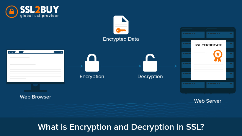 SSL2BUY tweet media