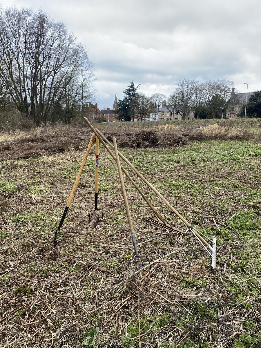 CountrysideNK (@countrysidenk) on Twitter photo A great day recently with local and guesting volunteers from Notts and Northants on <a href="/NorthKestevenDC/">North Kesteven District Council</a> Lollycocks Field, Sleaford. Helping the <a href="/hillholtwood/">Hill Holt Wood</a> CountrysideNK Ranger plant rescued snowdrops, donated hedge whips, litter pick and clear overwintered Great Willowherb A great day recently with local and guesting volunteers from Notts and Northants on <a href="/NorthKestevenDC/">North Kesteven District Council</a> Lollycocks Field, Sleaford. Helping the <a href="/hillholtwood/">Hill Holt Wood</a> CountrysideNK Ranger plant rescued snowdrops, donated hedge whips, litter pick and clear overwintered Great Willowherb