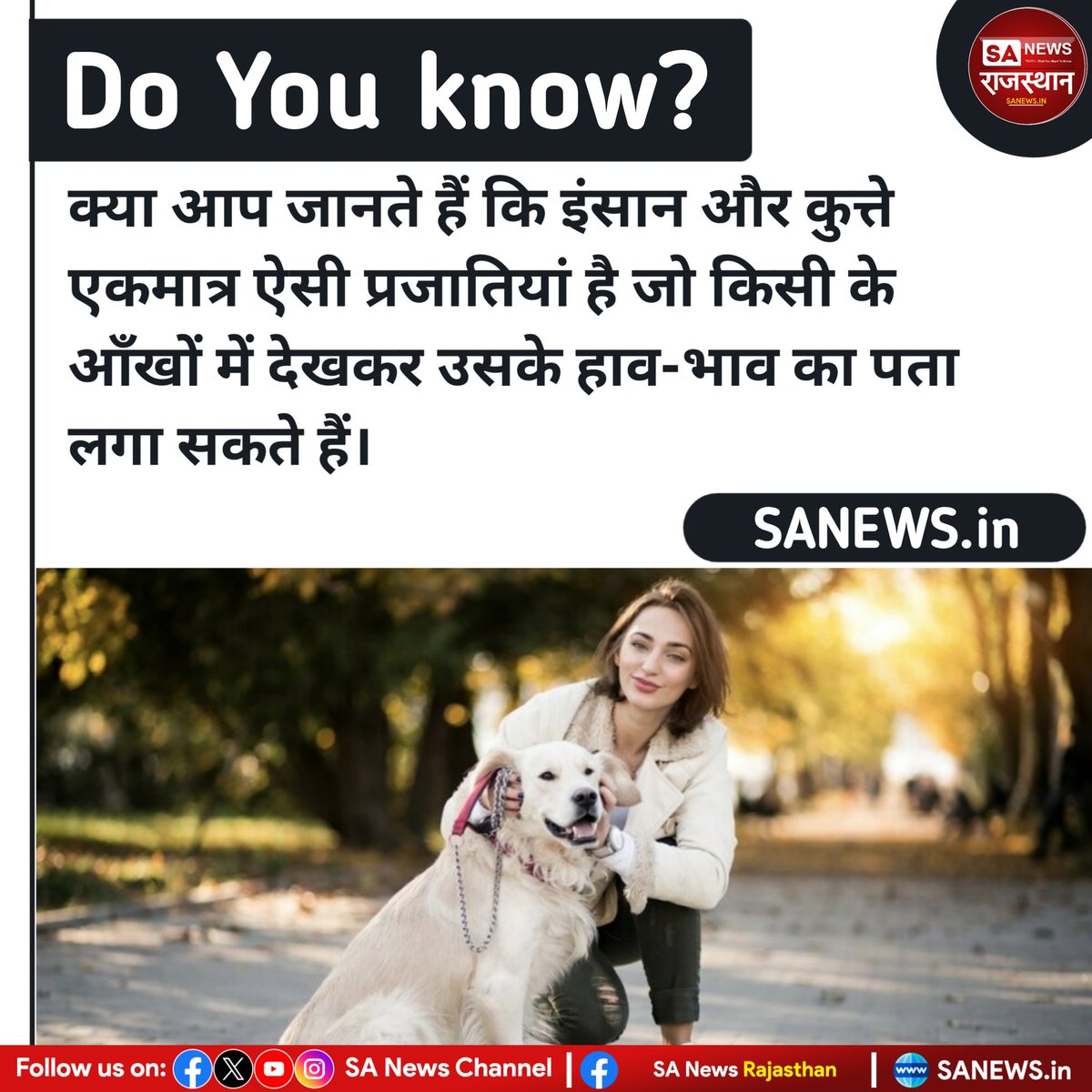 SANewsRajasthan's tweet photo. क्या आप जानते हैं कि इंसान और कुत्ते एकमात्र ऐसी प्रजातियां है जो किसी के आँखों में देखकर उसके हाव-भाव का पता लगा सकते हैं।
#fact #SANewsRajasthan #factdeliy https://t.co/52UvJEbcra