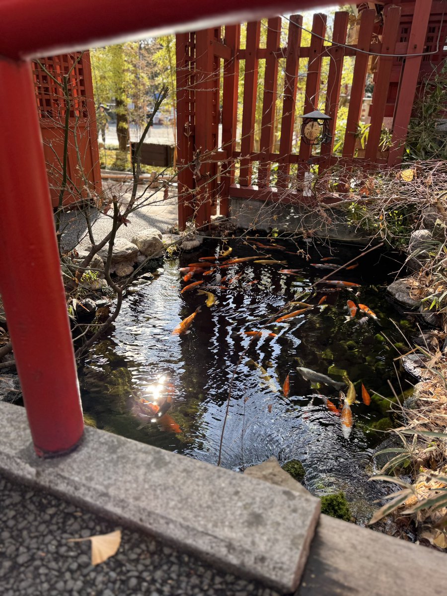 subzikin1204's tweet photo. いや、、、
可愛い子とお出かけしてきたけど
惚れちまうぞ？あんな可愛かったら🤣 https://t.co/RDQaIHTf4a