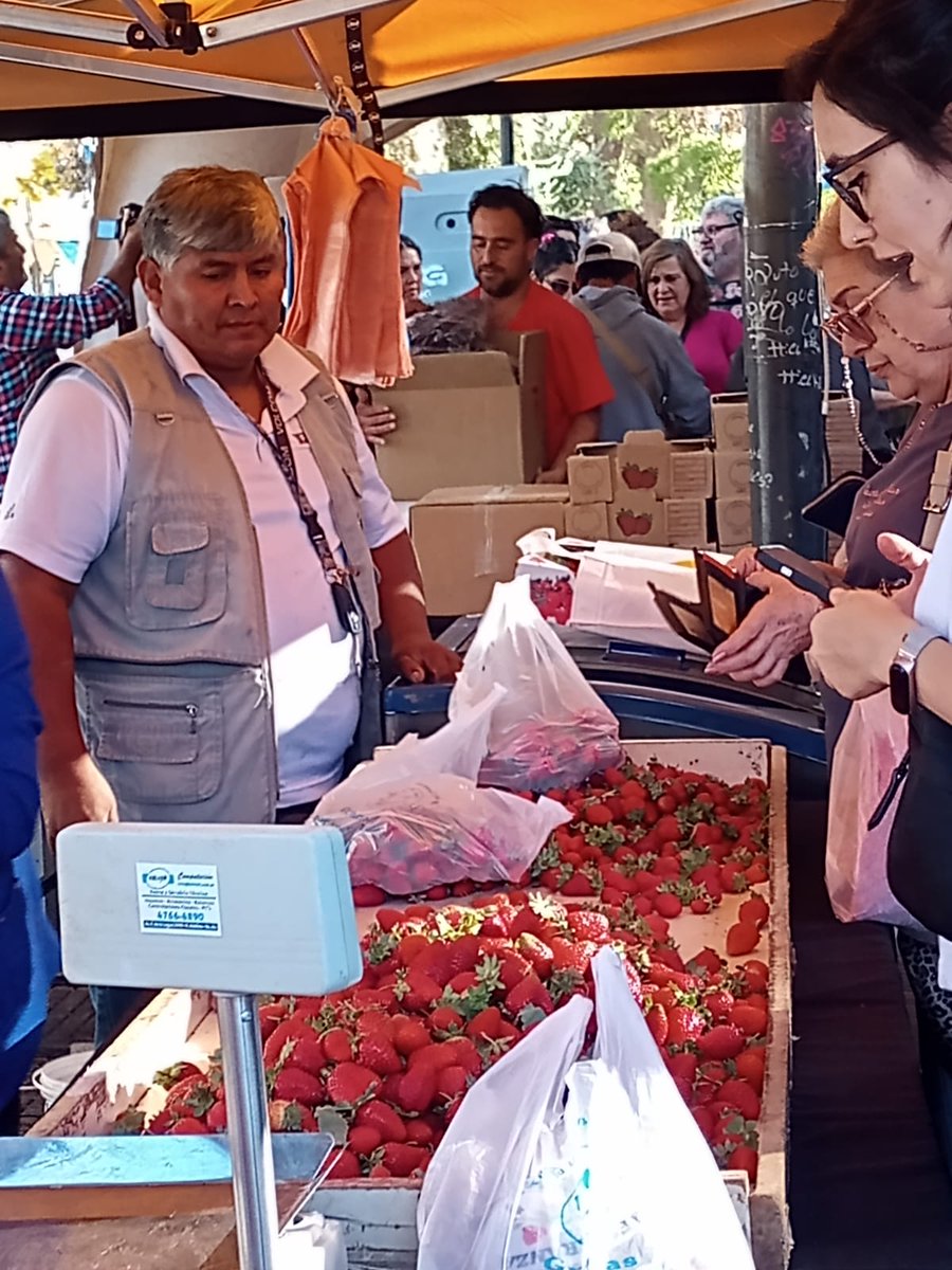 ¡Comenzó la feria de frutas finas en Neuquén capital!

Solo por hoy encontrarás frutillas, frambuesas y moras frescas, además de fruta congelada y batidos, a precio promocional 🤩

📍La feria está ubicada en Av. Argentina casi Independencia.

#NeuquenCambiaParaVos