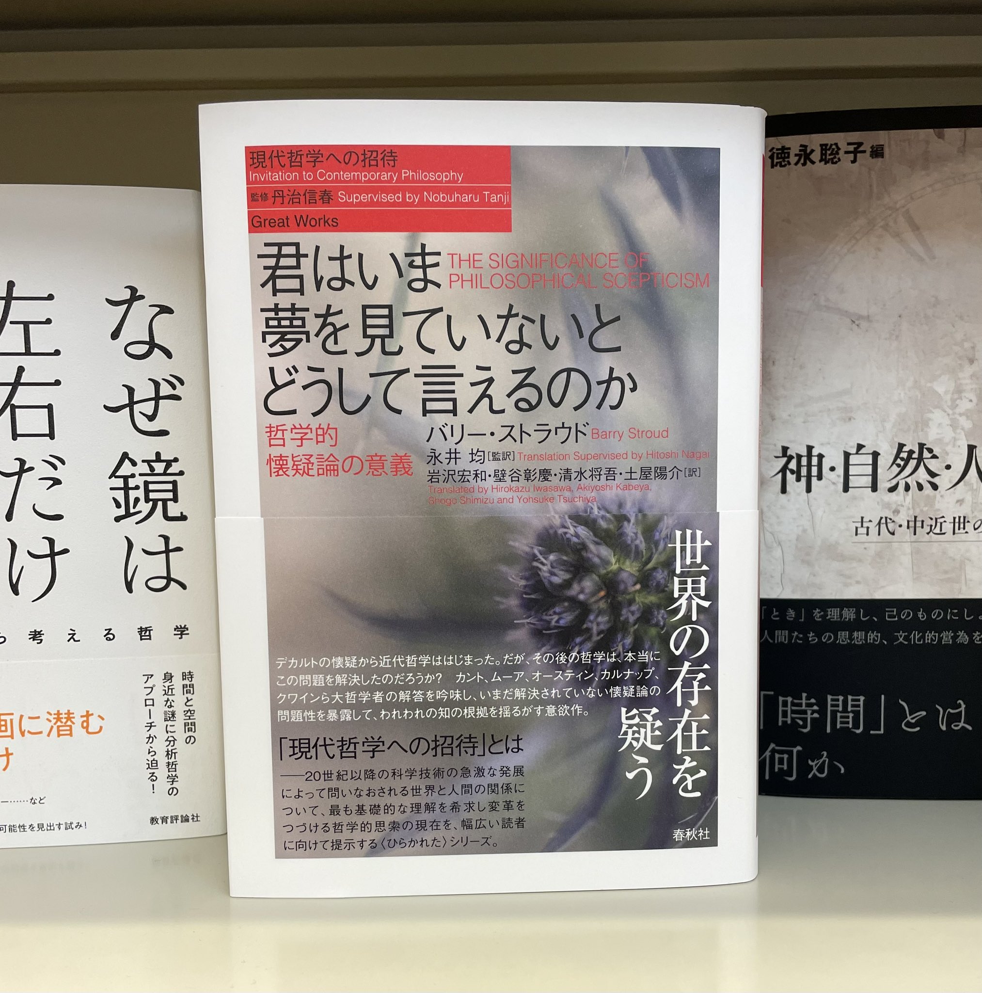 君はいま夢を見ていないとどうして言えるのか : 哲学的懐疑論の