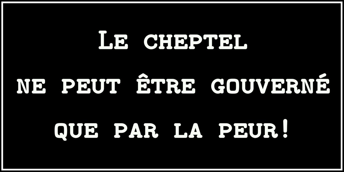 BlancsMasques's tweet photo. @CNEWS Allez les moutons, en rang pour un nouveau tour de manège !
#peur #FabriqueDuConformisme #Macron #guerre #guidedesurvie https://t.co/3O0BJyiwc4