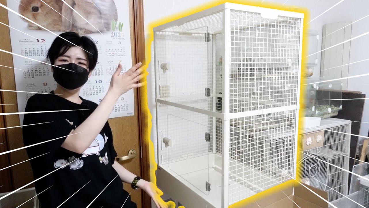 【最終値下げ】GEXクリアフロント 70High ケージ 最終値下げ】GEXクリアフロント 70High ケージ 楽天市場】GEX クリア