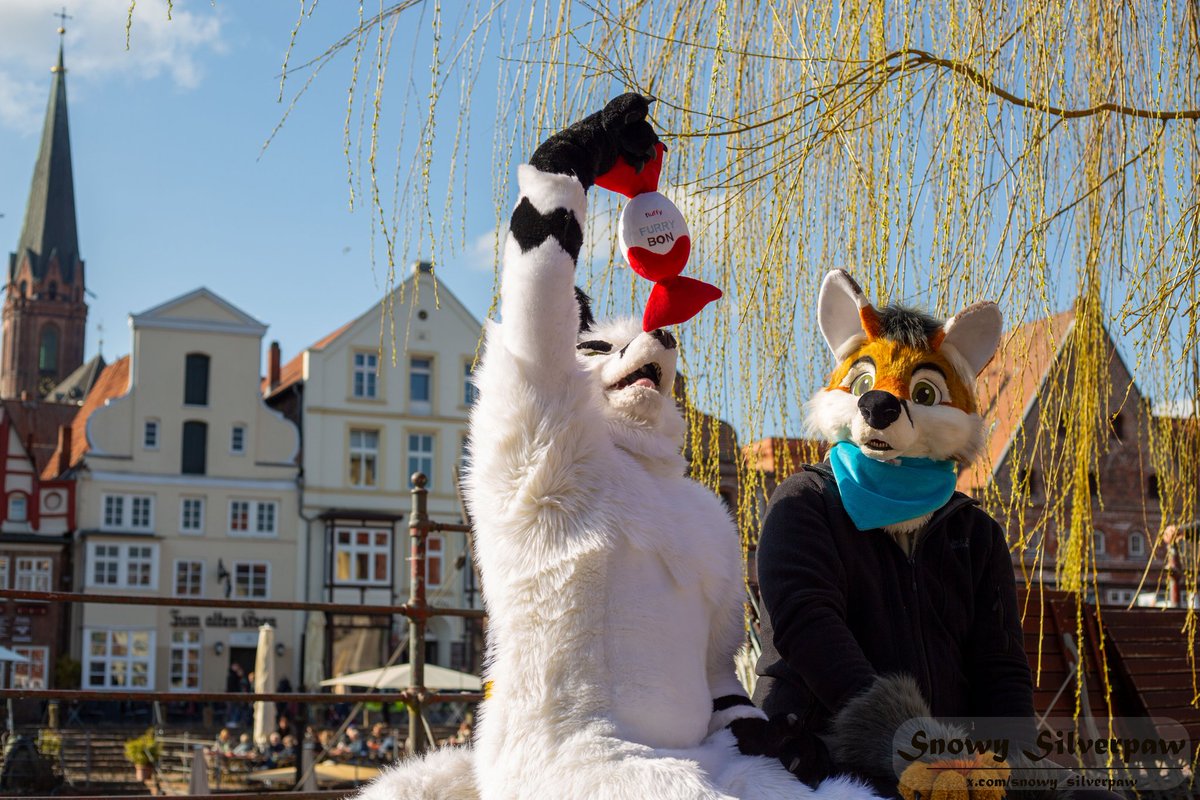 Caught a fox eating in natural.

In Lüneburg 15.3.25