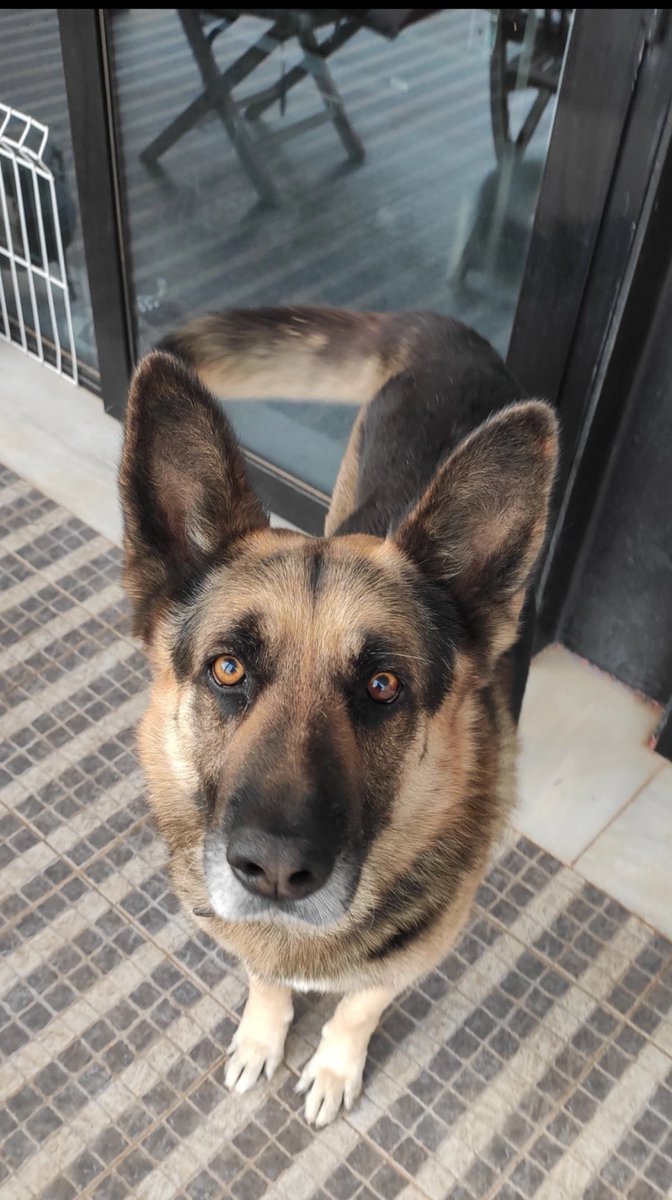 La mami /// el bbbbbb