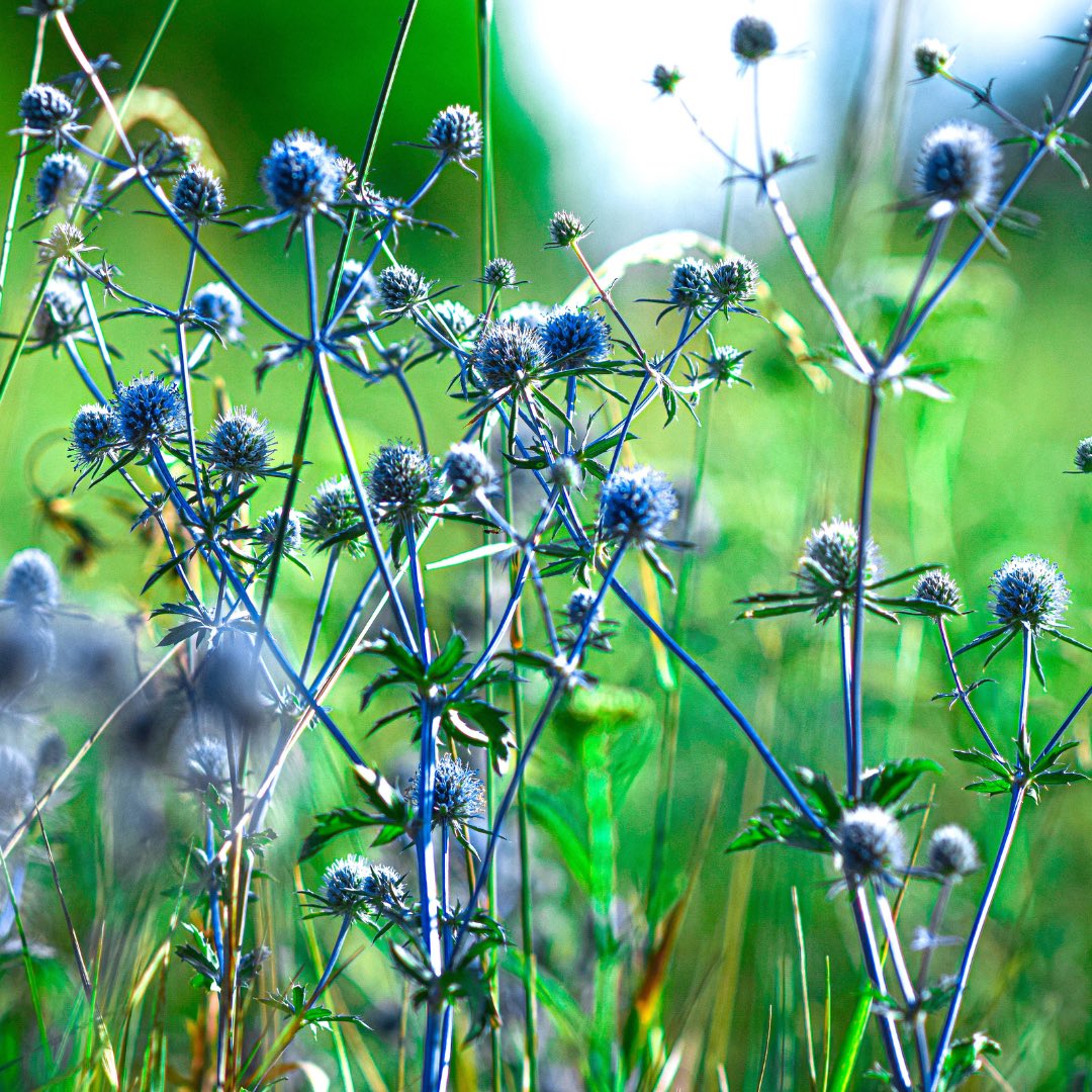 AEDIT srl tweet media