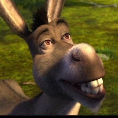 FOTO en RAYA tweet media