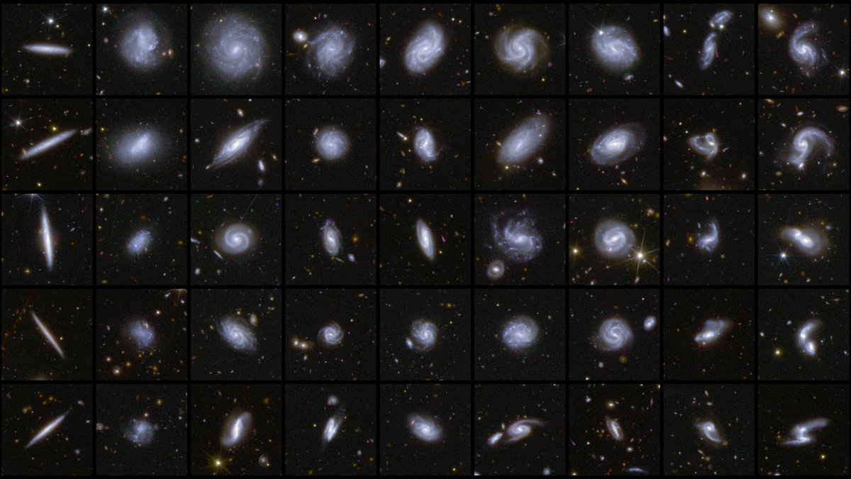 Max Planck Society (@maxplanckpress) on Twitter photo A catalogue of more than 380,000 #galaxies: the first comprehensive data release of the #Euclid space telescope sets standards and provides insights into the depths of the #universe - thanks in part to strong German participation mpg.de/24349746/eucli… <a href="/esa/">European Space Agency</a> <a href="/mpi_astro/">Max-Planck-Institut für Astronomie</a> A catalogue of more than 380,000 #galaxies: the first comprehensive data release of the #Euclid space telescope sets standards and provides insights into the depths of the #universe - thanks in part to strong German participation mpg.de/24349746/eucli… <a href="/esa/">European Space Agency</a> <a href="/mpi_astro/">Max-Planck-Institut für Astronomie</a>