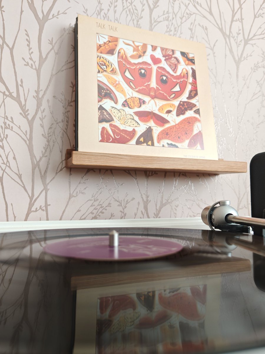Top10Nathan's tweet photo. #NowPlaying

🗣️ Talk Talk
💿 The Colour Of Spring

The sun is shining so what better day to play Talk Talk's seminal third album (don't say April 5th 😉)?

The absolute midpoint between the synthpop gems and the post-rock masterpieces.

Perfection on wax. https://t.co/icMuVj5mBM