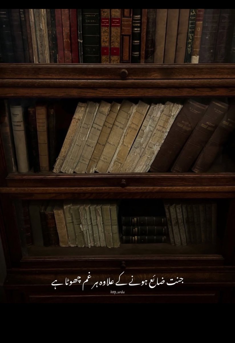 مہہ ثناء خان tweet media