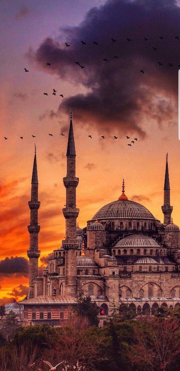 İhtişamına hayranım🌸🤍