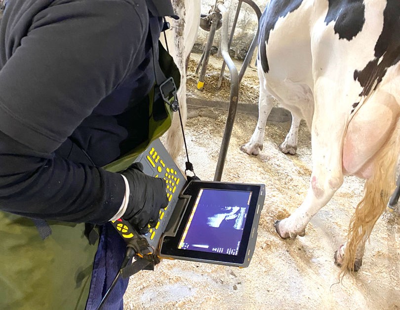 Sangwa Sifa Florence (@sangwasifa) on Twitter photo 🚀 Rwanda Introduces Ultrasound Technology to Revolutionize Cattle Farming! 🐄
<a href="/RwandaAgriBoard/">Rwanda Agriculture & Animal Resources Devpt Board</a> is set to introduce ultrasound technology to monitor pregnant cows. This will improve the precision, efficiency, and reproductive health management of cattle farming.
🔍 What’s 🚀 Rwanda Introduces Ultrasound Technology to Revolutionize Cattle Farming! 🐄
<a href="/RwandaAgriBoard/">Rwanda Agriculture & Animal Resources Devpt Board</a> is set to introduce ultrasound technology to monitor pregnant cows. This will improve the precision, efficiency, and reproductive health management of cattle farming.
🔍 What’s