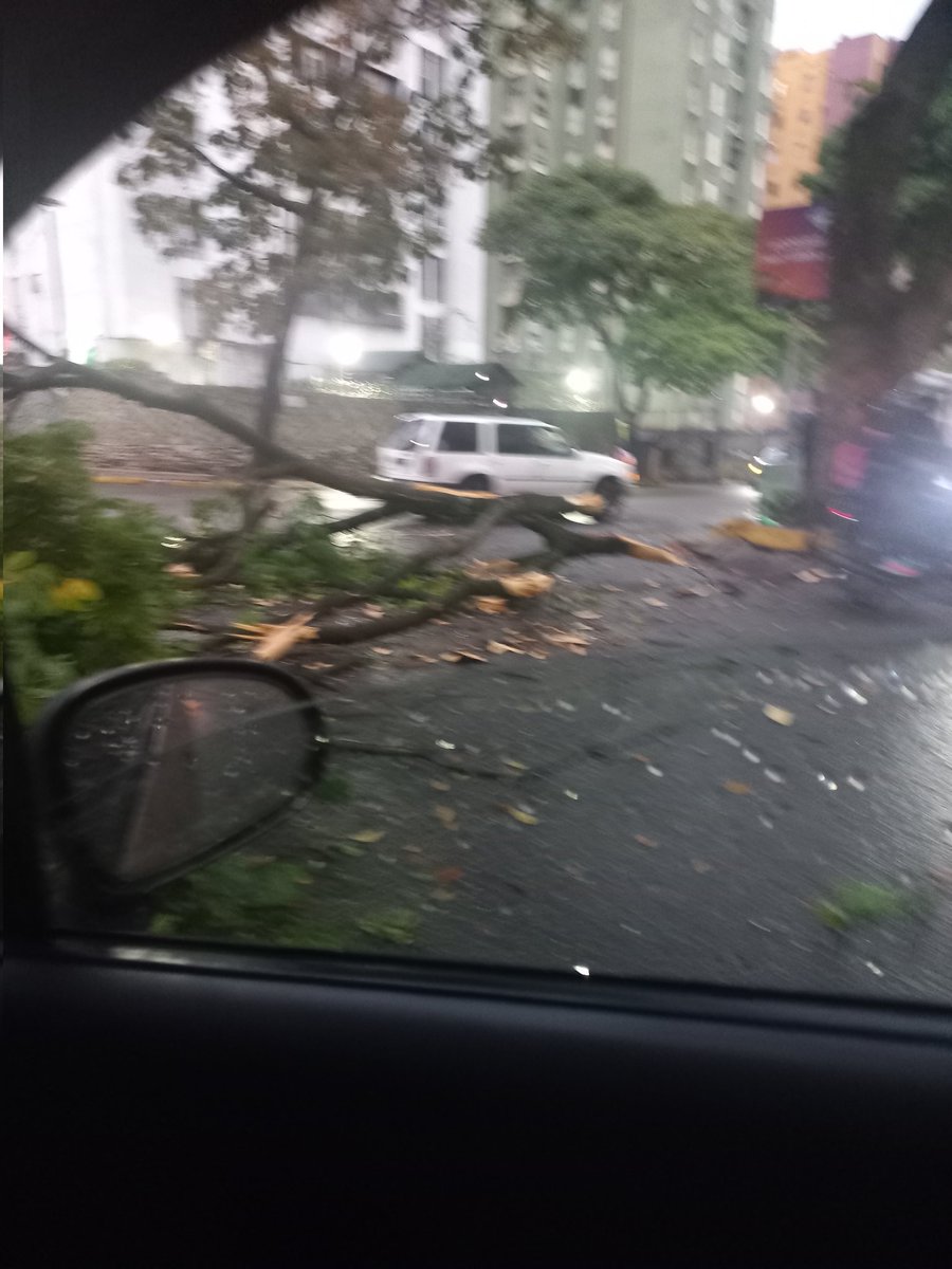 #19Mar| Caída de rama de árbol en la Av. Principal de #PaloVerde, con calle 6, municipio Sucre, debido a las lluvias ☔️ <a href="/lAlcaldiasucre/">AlcaldíaSucre</a>