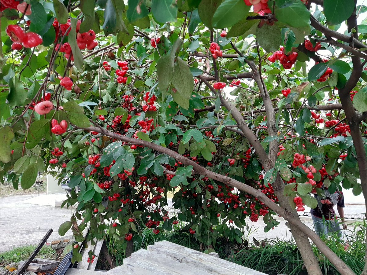 Fandhy Achmad R tweet media