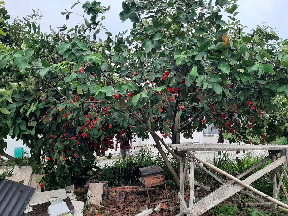 Fandhy Achmad R tweet media