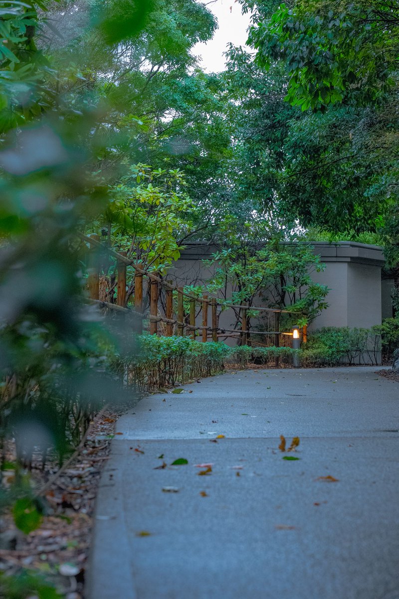 kenta_stp's tweet photo. 비내리는 날 도심 속 산책로
장소 :  芝公園(시바공원) - 도쿄 미나토구
#streetsnap
#Tokyo #Japan https://t.co/1mjbVgPgr1