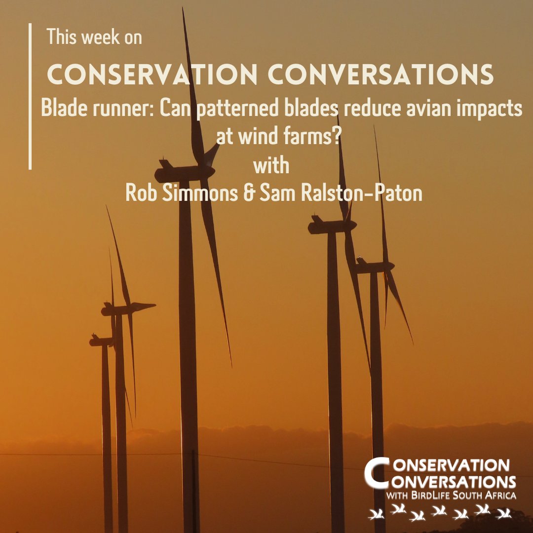 ICYMI👀: Last night on #conservationconversations we had Rob Simmons and Sam Ralston discuss solving the green-green dilemma. This dilemma arises from the fact that the green solution to climate change—renewable energy—must itself be green. 
🎥🔗: youtu.be/V814mMZAcIA