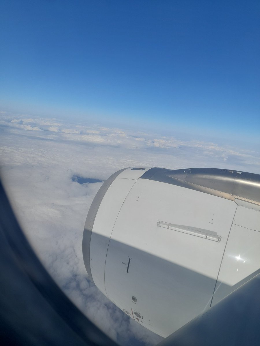 رشا عزب tweet media