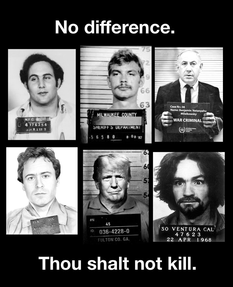 Isreal + U.S. = TERRORISM. #FreePalestine tweet media