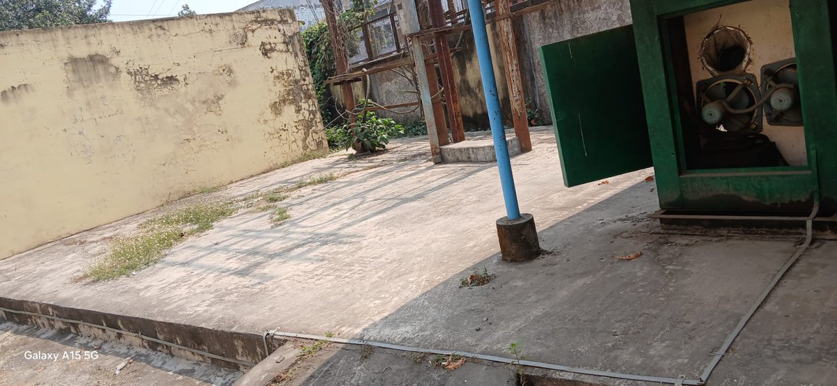 ddtripura's tweet photo. DDK, Agartala staff member participated in the cleaning work  at the back side of the Office building  on 17.03.2025 as part of Swachhata activities https://t.co/Ir5j6yMtAf