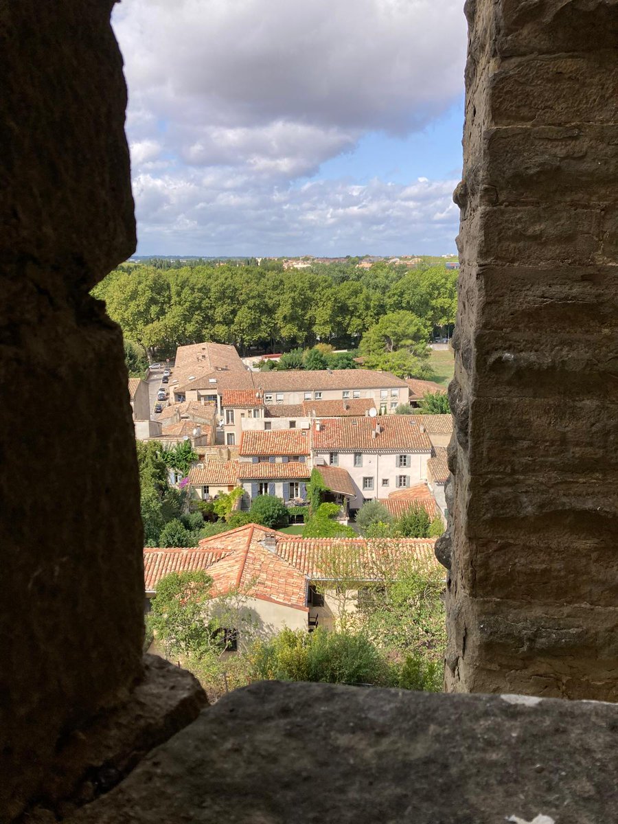 solcorporal's tweet image. gm to all grinders who see this 🤝

who's active this Wednesday 📈