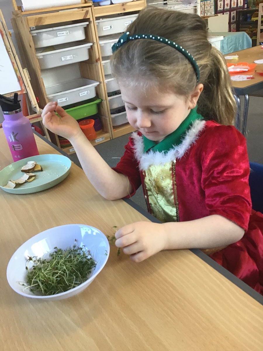 Cygnet Class tweet media