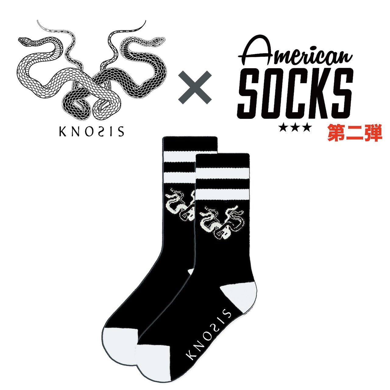 数量は多い  | Knosis ノーシス  X: on ミュージシャン
