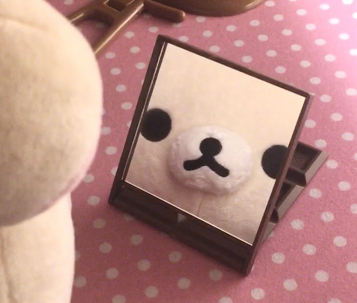 daiskiusagi's tweet image. 알리에서 산 짱귀여운 초코 거울!!
세워지기도 한답니다