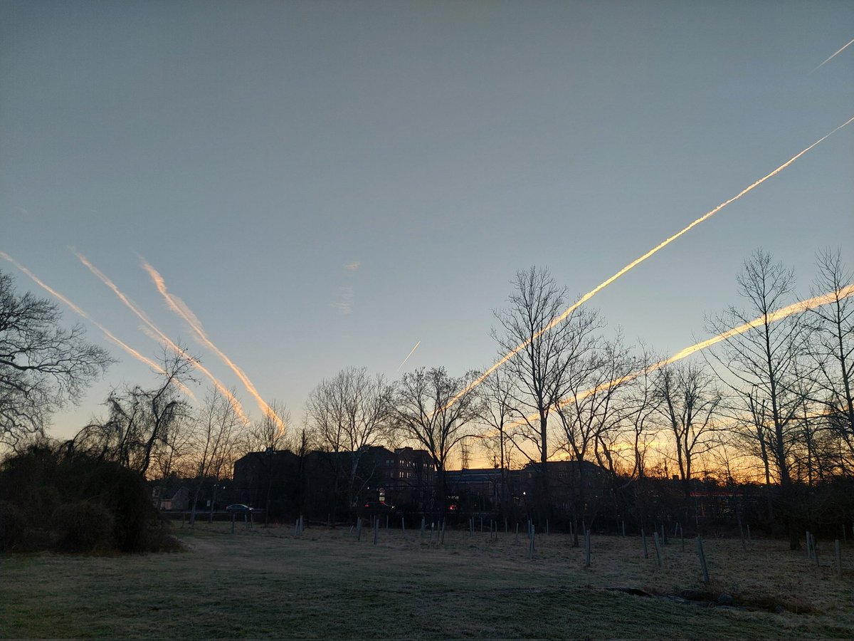 Ron Matz tweet media