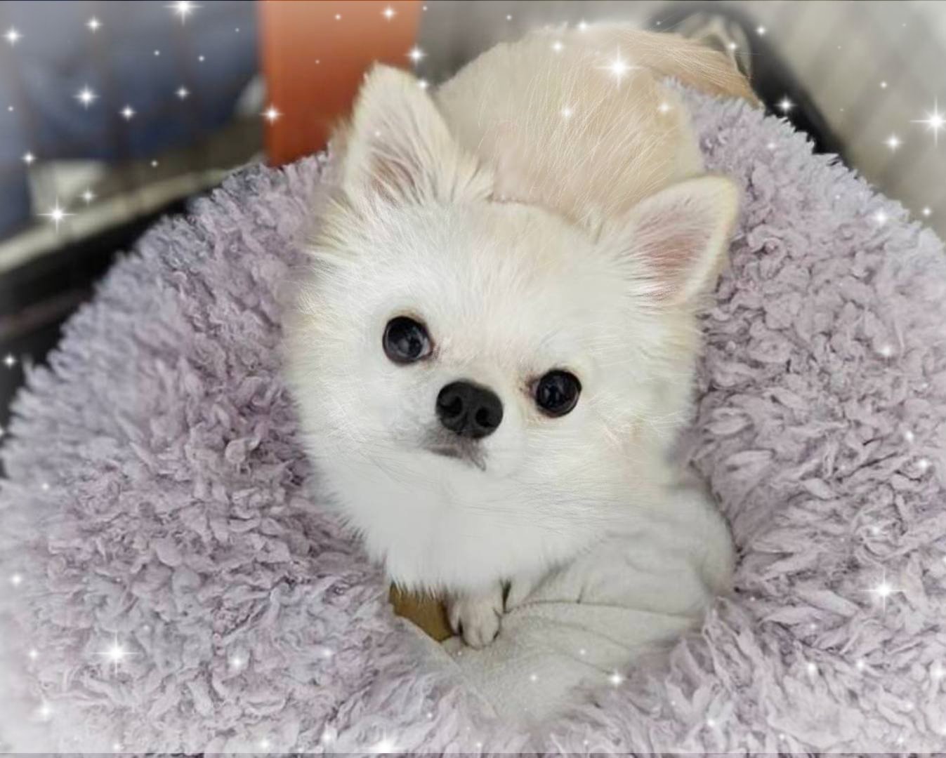 くーちゃん - Search / X