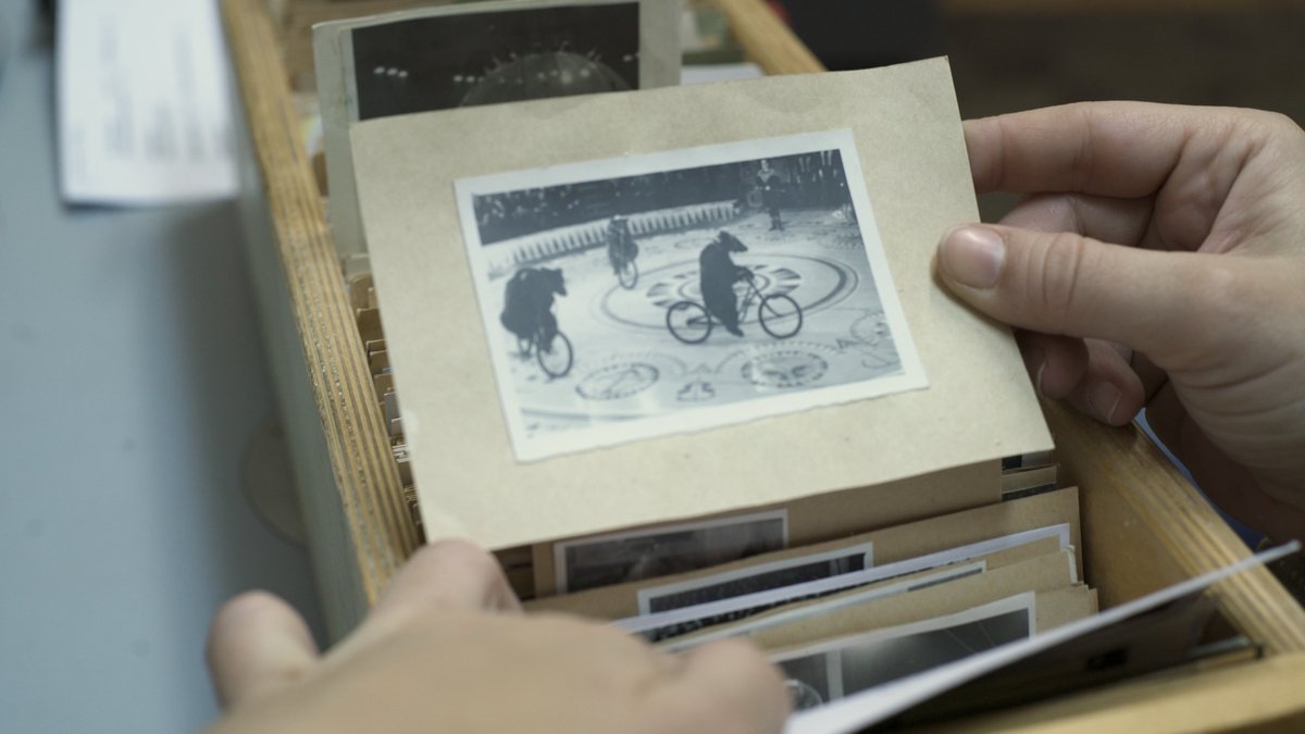 UNA VEZ, UN CIRCO un documental de Saula Benavente sobre el Circo de Moscú. Estreno Mundial en el 26° Bafici 2025,Sección Noches Especiales: 06/04, 19h Houssay 1+08/04 - 15:30h Cacodelphia 2+10/04 - 15h Cacodelphia 2 || Estreno comercial 17 de abril. <a href="/TrenCine/">Cinetren</a>